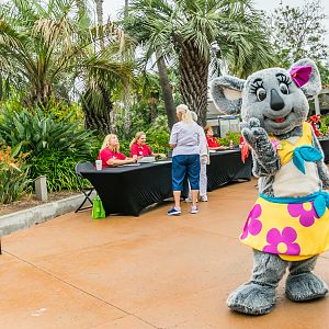 Africa Rocks Donor Preview 7/01/2017