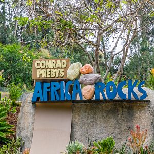 Africa Rocks Donor Preview 7/01/2017