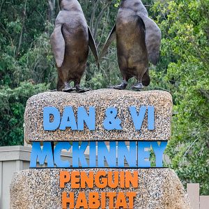 Africa Rocks Donor Preview 7/01/2017