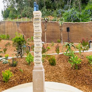 Africa Rocks Donor Preview 7/01/2017