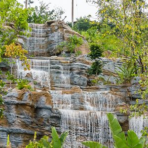 Africa Rocks Donor Preview 7/01/2017