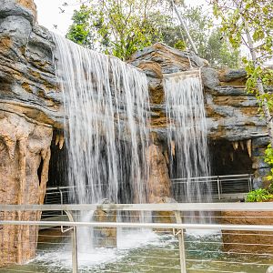 Africa Rocks Donor Preview 7/01/2017