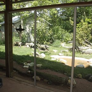 Jul. 2017 - Australian Adventure - Tazmanian Devil Exhibit