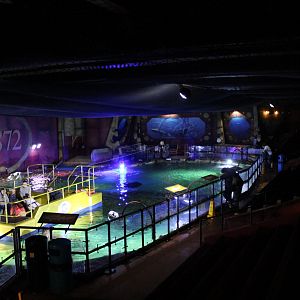 Auditorium/main tank view