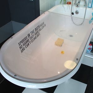 House Spider Exhibit