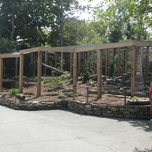 Jul. 2017 - Zoo Central - Newly Expanded Canada Lynx Exhibit