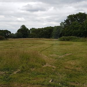 Large Cheetah Enclosure