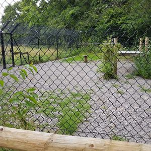 Functional Cheetah holding pen.