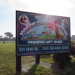 Entrance Sign