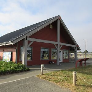 Northcoast Marine Mammal Center