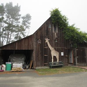 Meeting Place (an old barn) - on a foggy day