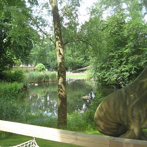 Tierpark Hagenbeck - Saurier-Teich