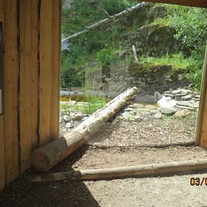 Snow Leopard Lower Viewing Window