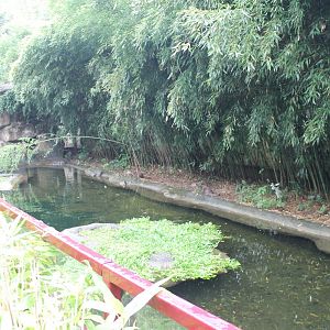 Enclosure Eurasian otter