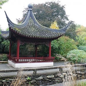 Chinese Garden