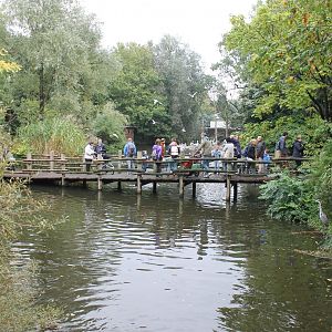 Bridge through Pelican-enclosure