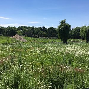 Adventure Africa Construction