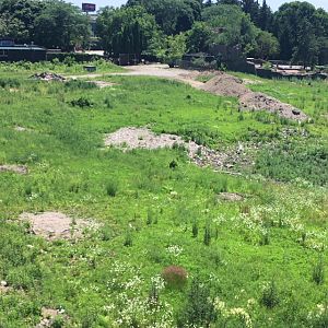 Adventure Africa construction ( View from skytram)