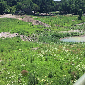 Adventure Africa Construction (View from Skytram)