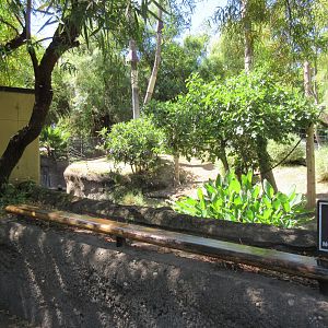 Ring-Tailed Lemur/Red Ruffed Lemur Exhibit