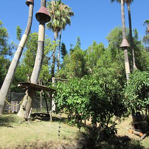 Ring-Tailed Lemur/Red Ruffed Lemur Exhibit