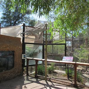 Black Parrot/Radiated Tortoise Exhibit
