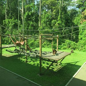 Outdoor Nursery Building