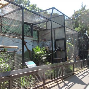 Small Animal Exhibits (Golden Lion Tamarin Exhibit is first in the line)