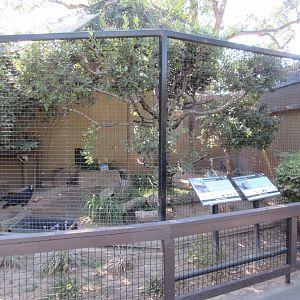 Turkey Vulture/Swainson's Hawk Exhibit