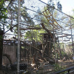 Fossa Exhibit
