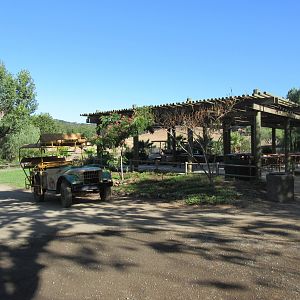 Safari Jeep + Viewing Deck