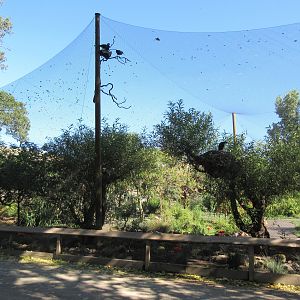 Walk-Through Aviary (exterior view)