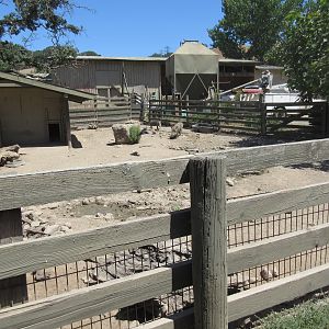 Warthog Exhibit