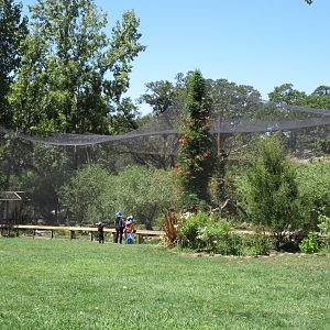 Walk-Through Aviary (exterior view)