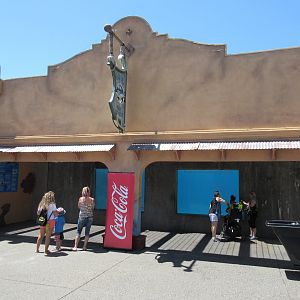 Bottlenose Dolphin Exhibit - underwater viewing area