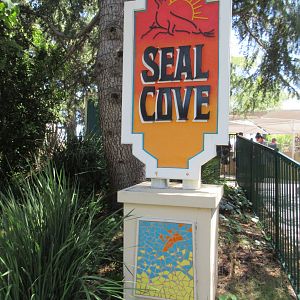 Seal Cove (Harbour Seals and a single California Sea Lion)