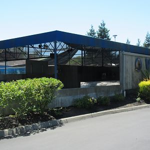 Jocko's Walrus Experience