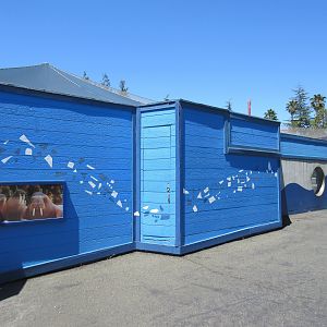 Jocko's Walrus Experience