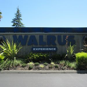 Jocko's Walrus Experience