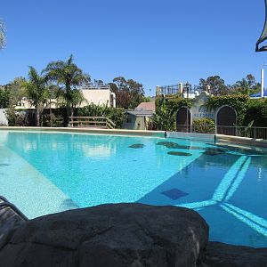 Dolphin Pool (currently empty)