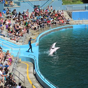 Dolphin Stadium - Drench!