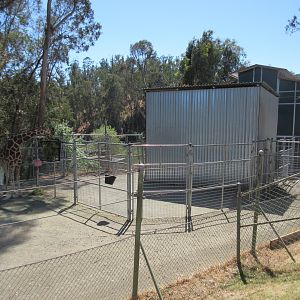 Reticulated Giraffe Exhibit - Barn