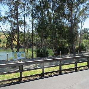 Reticulated Giraffe Exhibit