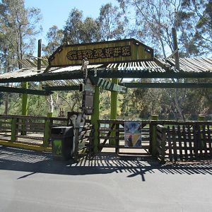 Reticulated Giraffe Exhibit - Feeding Station