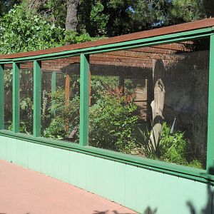 Reptile Discovery Building - Empty Exhibit