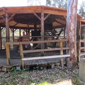 Empty Exhibit (old Bald Eagle aviary)