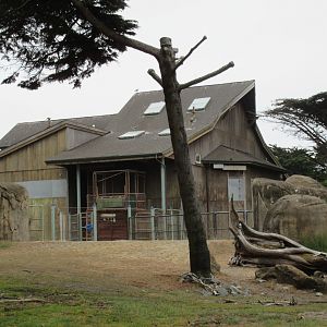 African Savanna - Barn