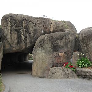 African Savanna - visitor tunnel