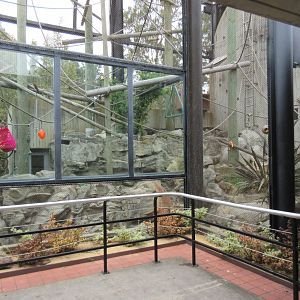 Primate Discovery Center - lower half of Siamang exhibit