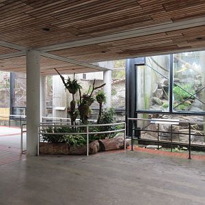 Primate Discovery Center